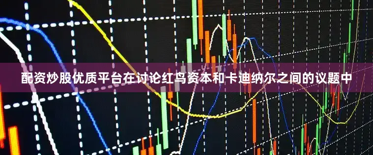 配资炒股优质平台在讨论红鸟资本和卡迪纳尔之间的议题中