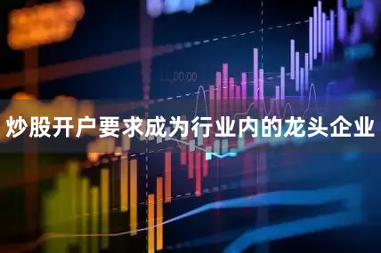 炒股开户要求成为行业内的龙头企业