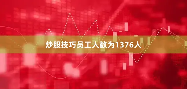 炒股技巧员工人数为1376人