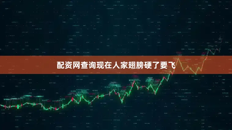 配资网查询现在人家翅膀硬了要飞